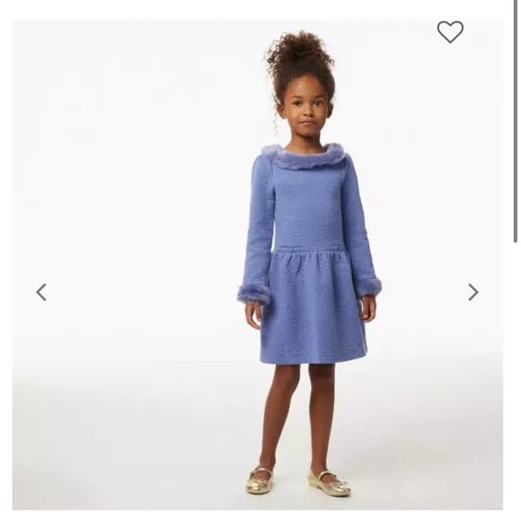 Copied - Janie and Jack Quilted Faux Fur Trim Jacquard Dress - Picture 1 of 8